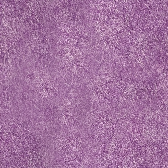 *LIMITED EDITION* Interior PET Color Customization 🌈